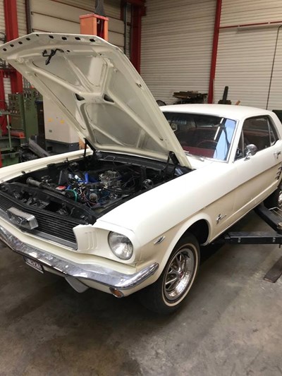 27073391_1891961171133856_4532707271687221891_n